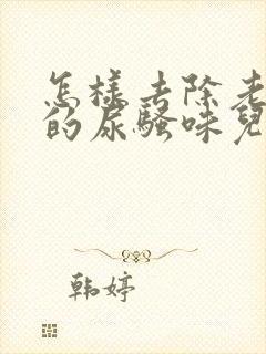 怎样去除老鼠尿的尿骚味儿?