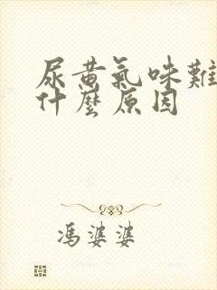 尿黄气味难闻是什么原因