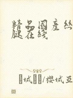 精品国产丝袜美腿在线