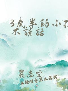 3岁半的小孩还不说话