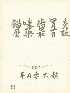 猫咪肠胃炎吃什么药最有效