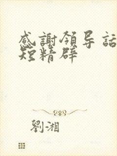 感谢领导话语简短精辟