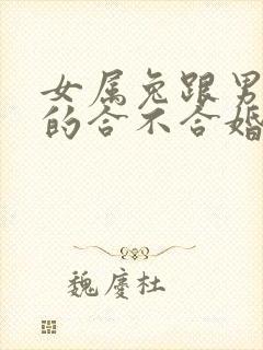 女属兔跟男属蛇的合不合婚