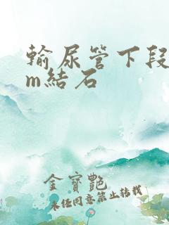 输尿管下段4mm结石