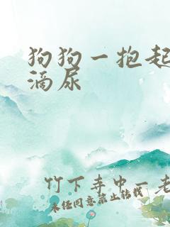 狗狗一抱起来就滴尿