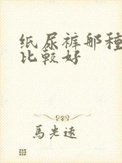 纸尿裤那种牌子比较好