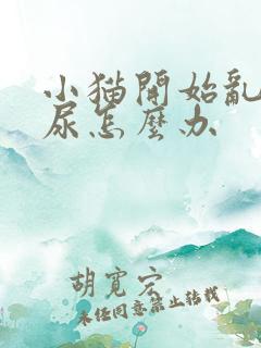 小猫开始乱拉乱尿怎么办