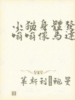 小猫身体发出嗡嗡嗡像马达的声音