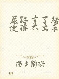 尿路有了结石小便排不出来怎么办