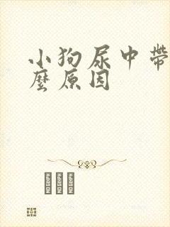 小狗尿中带血什么原因