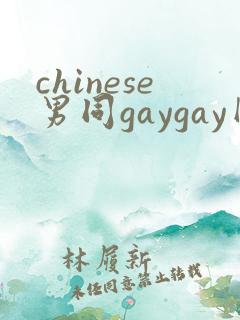 chinese男同gaygay网站