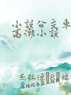 小说公交车被上高潮小说