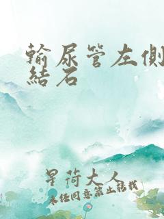 输尿管左侧下段结石