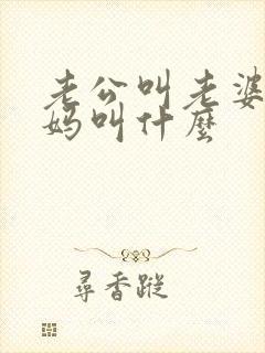 老公叫老婆的妈妈叫什么