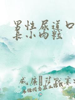 男性尿道口皮上长小肉粒