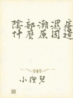 阴部潮湿瘙痒是什么原因造成的