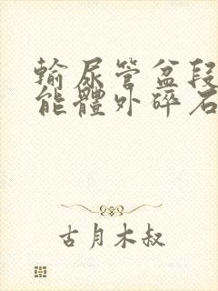 输尿管盆段结石能体外碎石吗