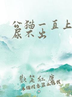 公猫一直上厕所尿不出