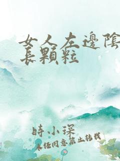 女人左边阴道口长颗粒