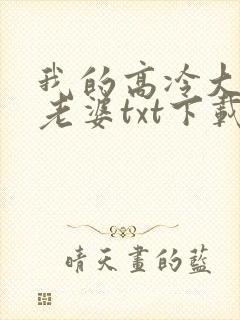 我的高冷大小姐老婆txt下载