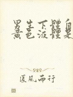 男生下体自己流黄色液体是什么