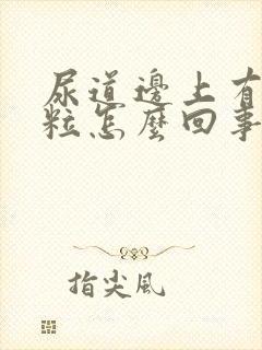 尿道边上有小肉粒怎么回事