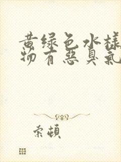 黄绿色水样分泌物有恶臭气味