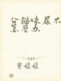 公猫咪尿不出来怎么办