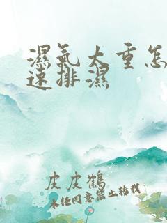 湿气太重怎么快速排湿