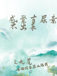 感觉有尿意却尿不出来