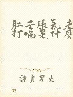 肚子胀气老放屁打嗝是什么原因