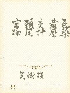 宫颈炎黄色分泌物用什么药