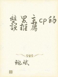 双男主cp的小说推荐