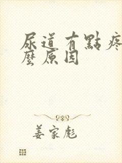 尿道有点疼是什么原因