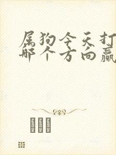 属狗今天打牌坐哪个方向赢