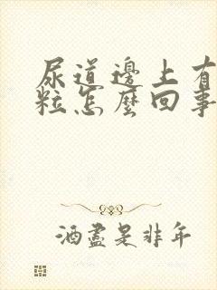 尿道边上有小肉粒怎么回事