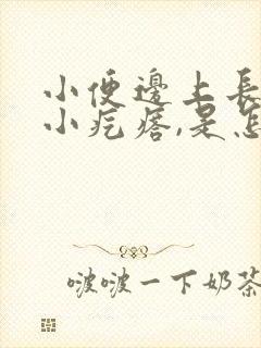 小便边上长了个小疙瘩,是怎么回事?