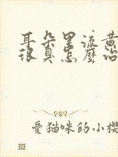 耳朵里流黄水还很臭怎么治