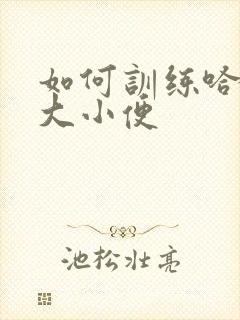 如何训练哈士奇大小便