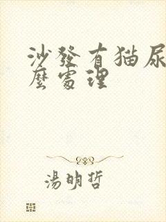 沙发有猫尿味怎么处理