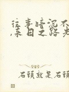 往事暗沉不可追,来日之路光明灿烂意思