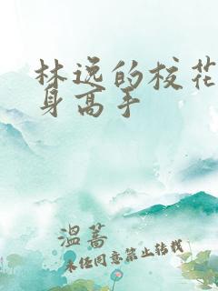 林逸的校花的贴身高手