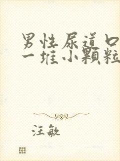 男性尿道口起了一堆小颗粒