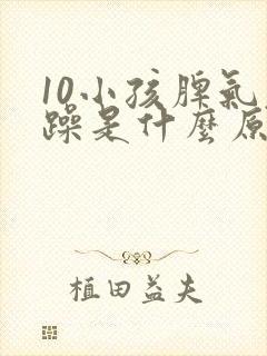 10小孩脾气暴躁是什么原因?