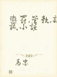 惩罚,管教,训诫小说