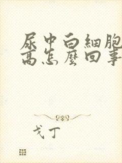 尿中白细胞酯酶高怎么回事