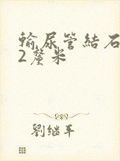 输尿管结石0.2厘米