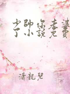 少帅你老婆又跑了小说免费读