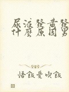 尿液发黄发臭是什么原因男