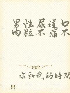 男性尿道口长小肉粒不痛不痒